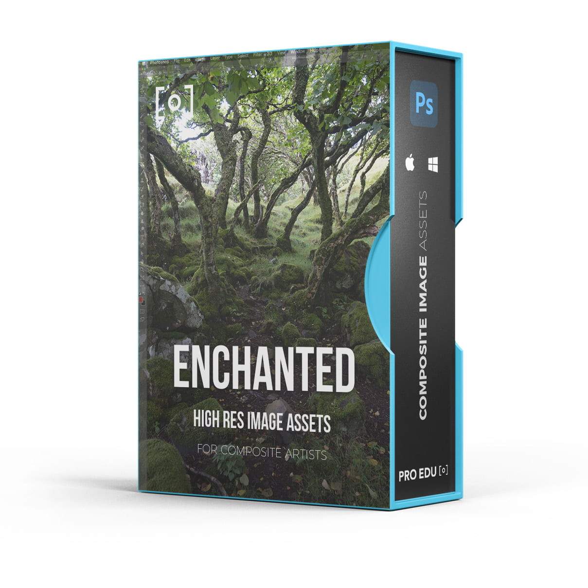 Composite Stock Asset Pack - Forest Trees | PRO EDU Images PRO EDU PRO EDU